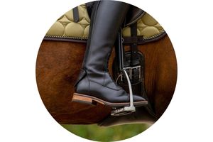 Stijgbeugels Paard