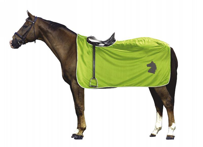 Afbeelding Reflectie- uitrijdeken door Minihorseshop.nl