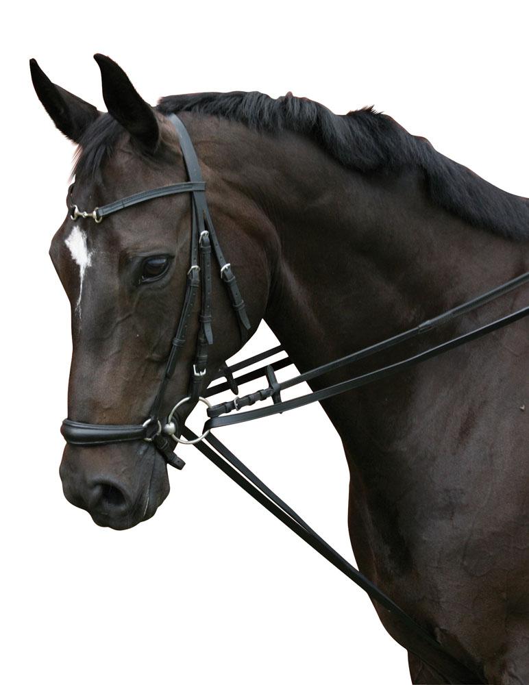 Afbeelding Slofteugel leer (met lus voor de singel door Minihorseshop.nl
