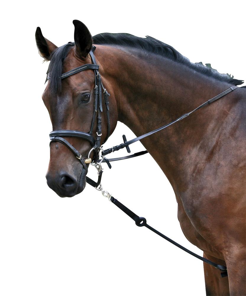 Afbeelding Stootteugel, kunststof door Minihorseshop.nl