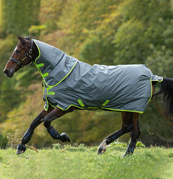 Horseware Products LTD Amigo Hero 900 Plus DF 100g Horseware Products LTD Amigo Hero 900 Plus DF 100g