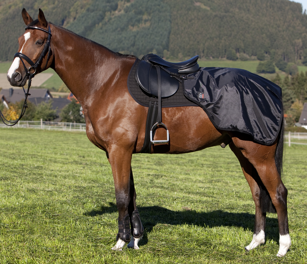 Afbeelding PFIFF Nierdeken Full door Minihorseshop.nl