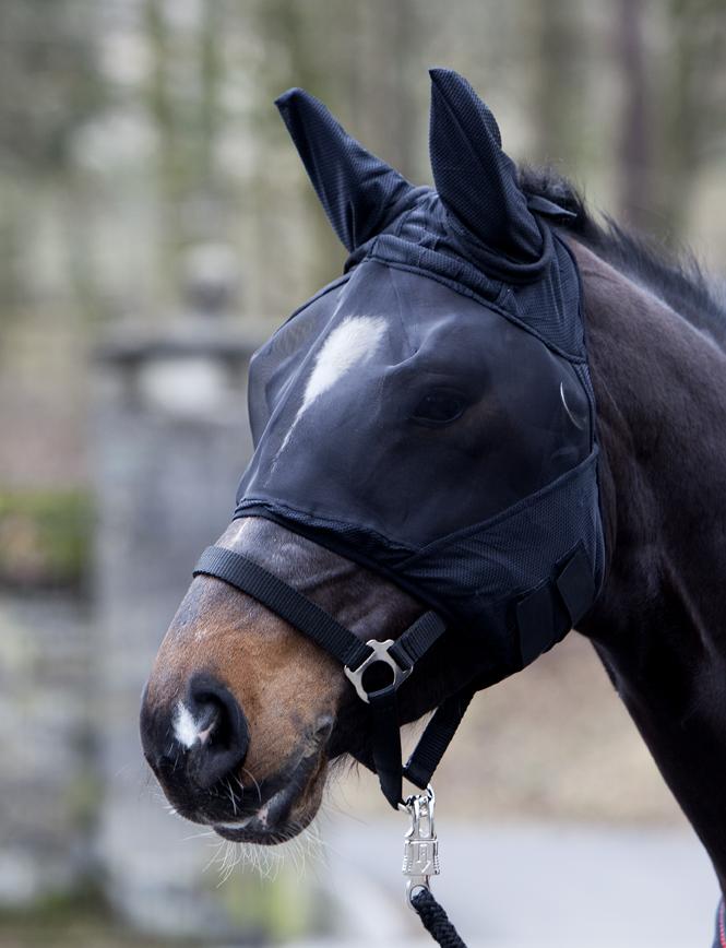PFIFF Antivliegen-hoofdmasker PFIFF Antivliegen-hoofdmasker