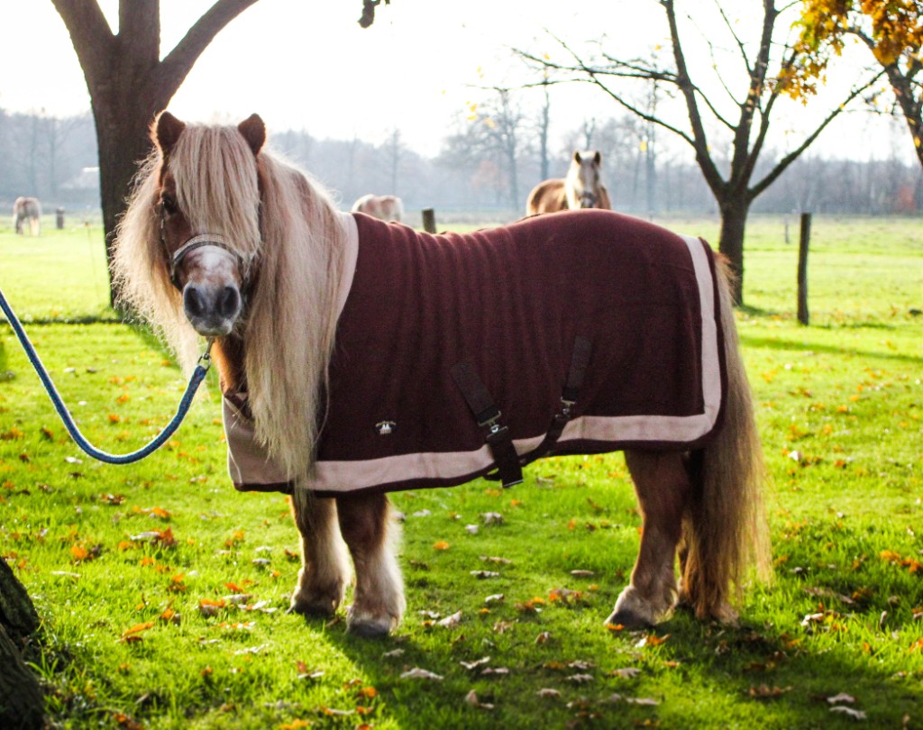 MHS Show Fleecedeken Met Borstflap Bruin MHS Show Fleecedeken Met Borstflap Bruin