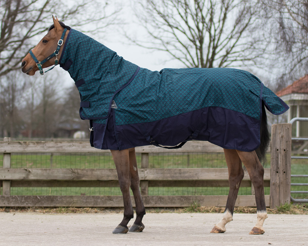 QHP Deken turnout Collection 300gr afneembare hals QHP Deken turnout Collection 300gr afneembare hals