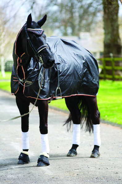 Horseware Rambo Mack In A Sack Horseware Rambo Mack In A Sack