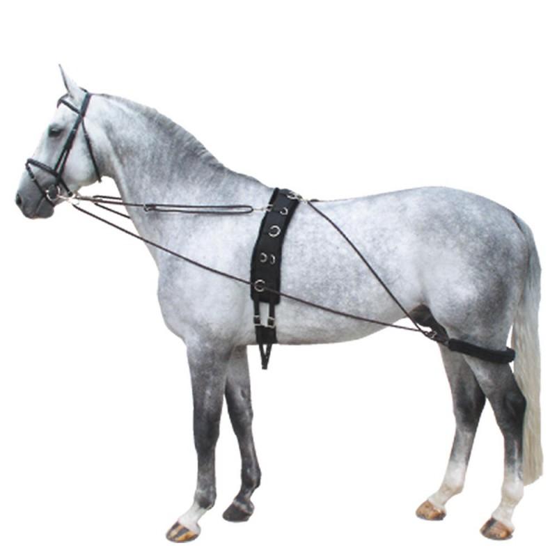 Afbeelding Premiere Pessoa Longeerhulpteugel door Minihorseshop.nl