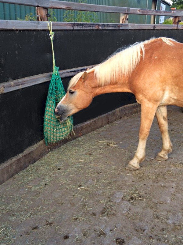 Afbeelding Fijnmazig Hooinet door Minihorseshop.nl