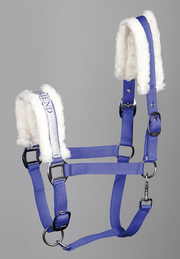 Harrys Horse Halster Lyrics II Harrys Horse Halster Lyrics II