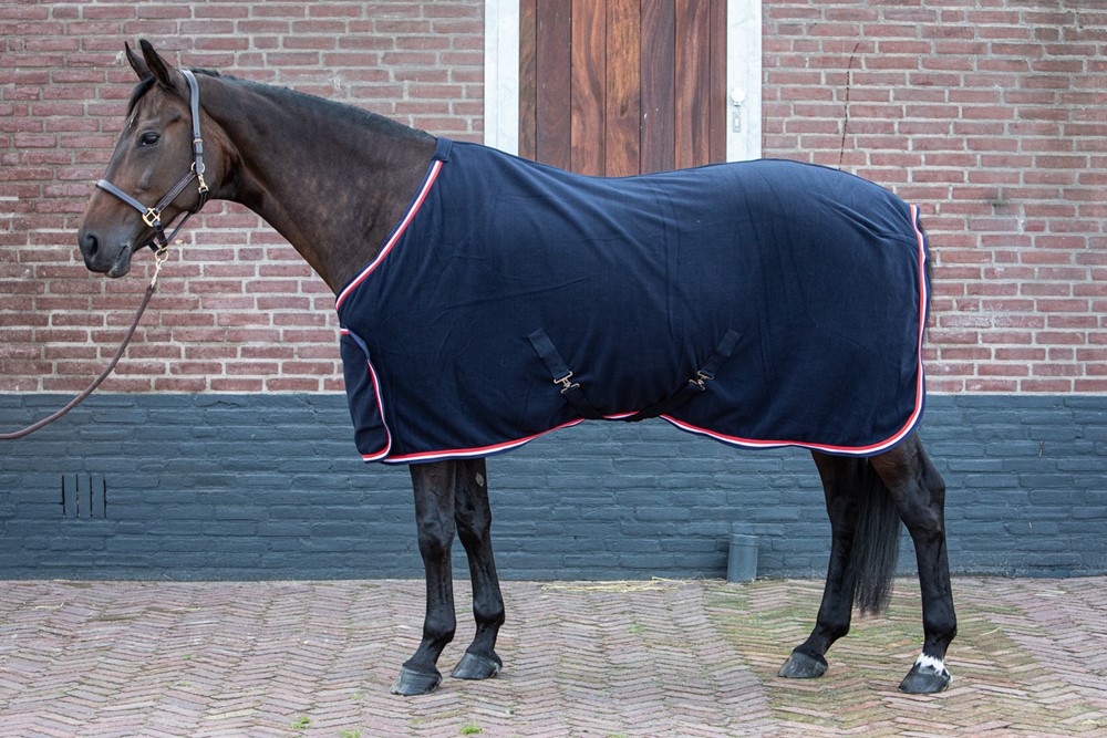 Harry's Horse Fleecedeken Master Harry's Horse Fleecedeken Master