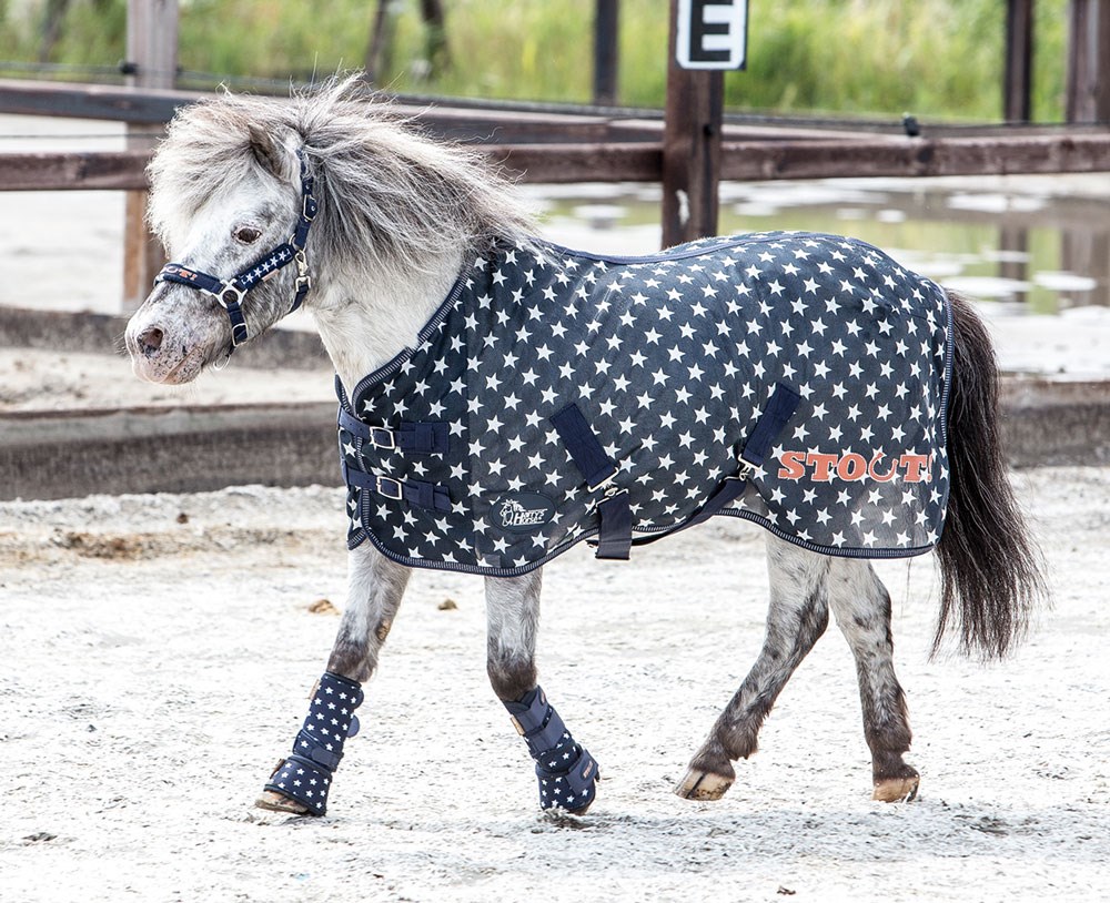 Harrys Horse Vliegendeken Stout Hazel Harrys Horse Vliegendeken Stout Hazel