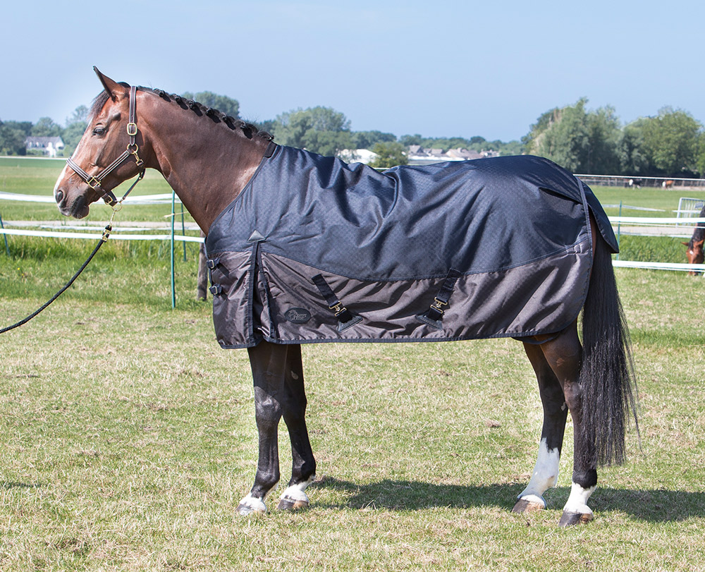 Harry's Horse Deken Xtreme-1200 200 Navy Harry's Horse Deken Xtreme-1200 200 Navy