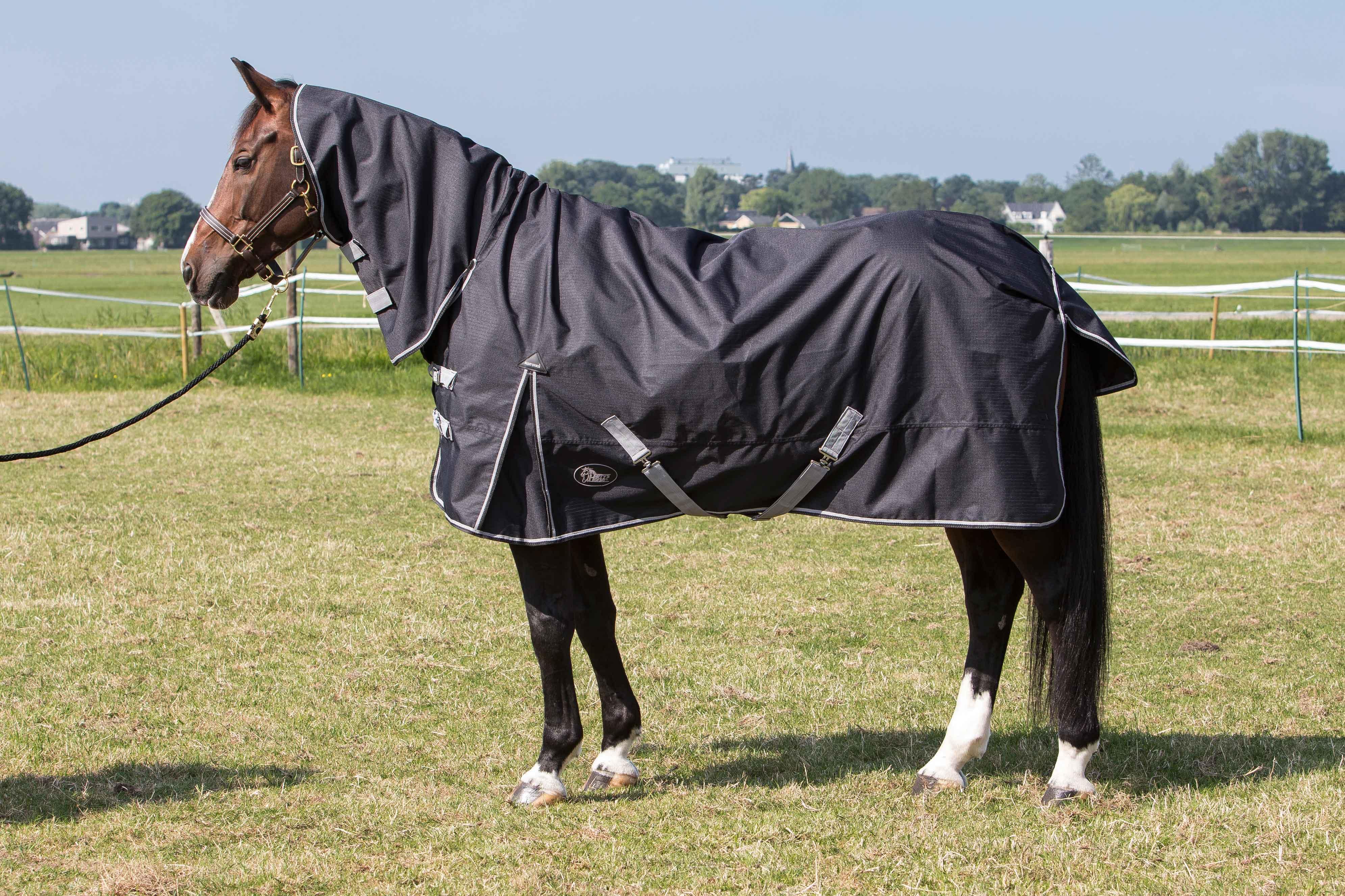 Harry's Horse Outdoor deken Thor 0gr met nek Harry's Horse Outdoor deken Thor 0gr met nek