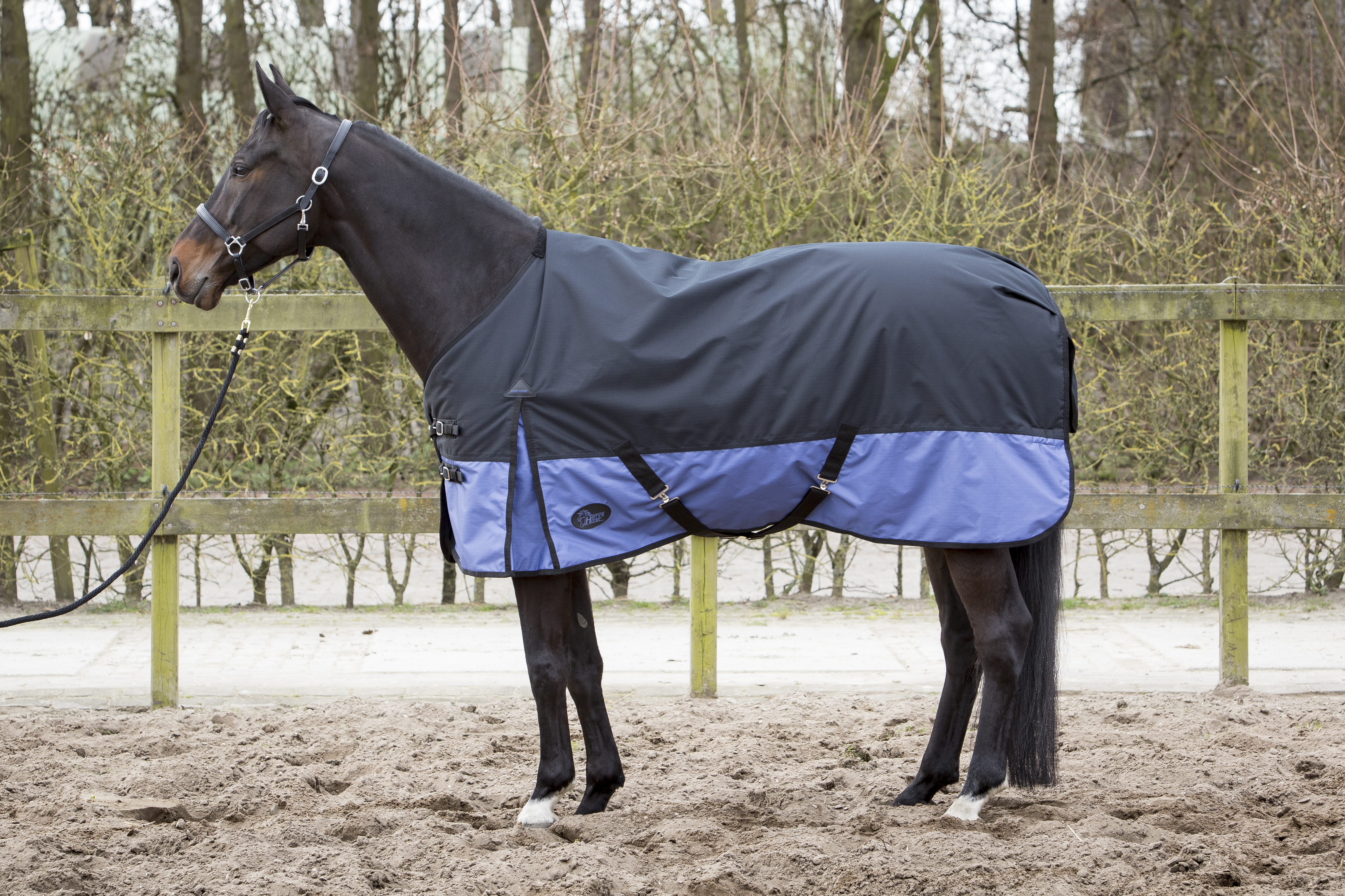 Harry's Horse Deken Thor 300gr 2Tone Seal Brown Harry's Horse Deken Thor 300gr 2Tone Seal Brown