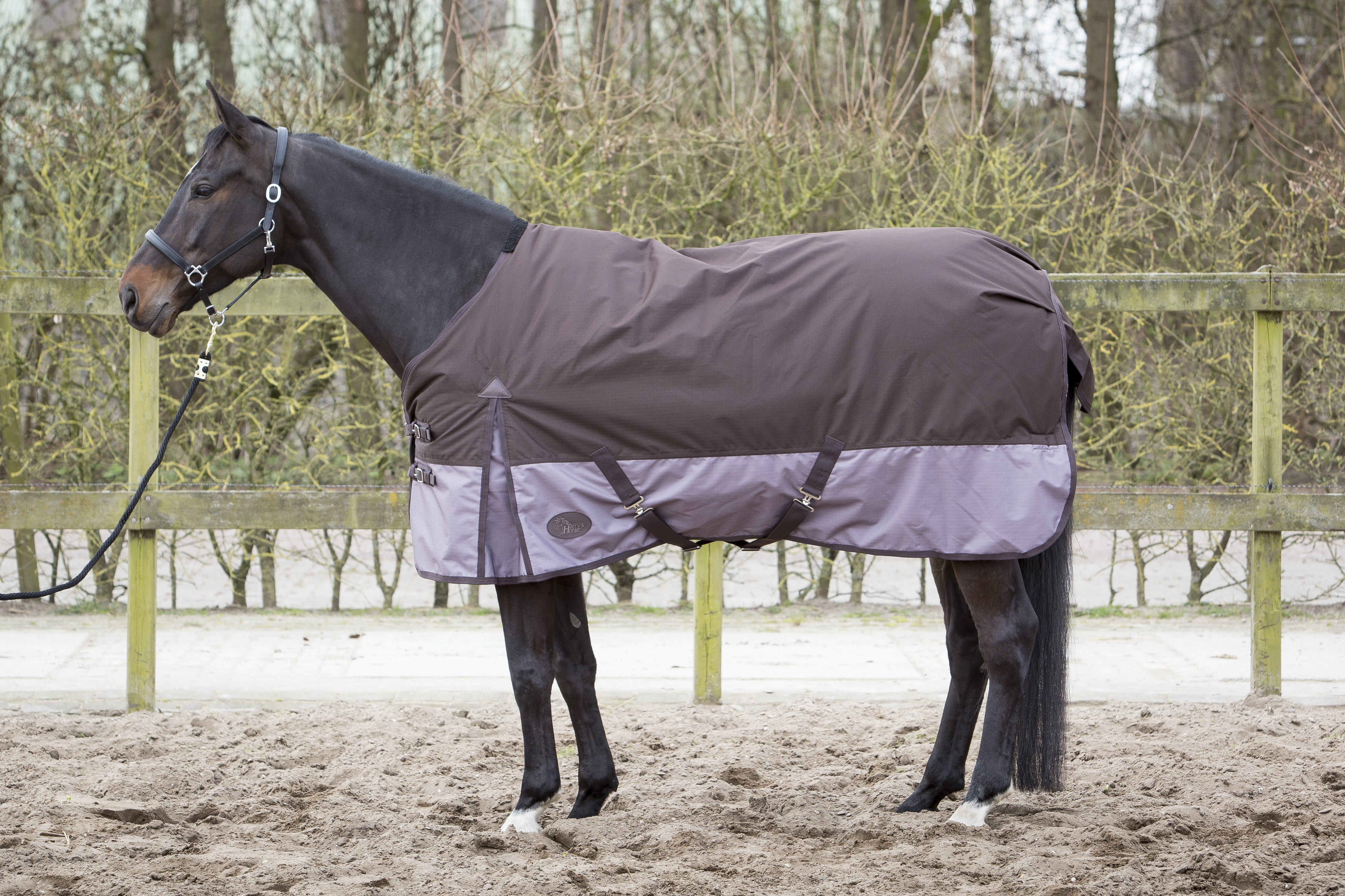 Harrys Horse Deken Thor 300gram 2Tone Seal Brown Harrys Horse Deken Thor 300gram 2Tone Seal Brown