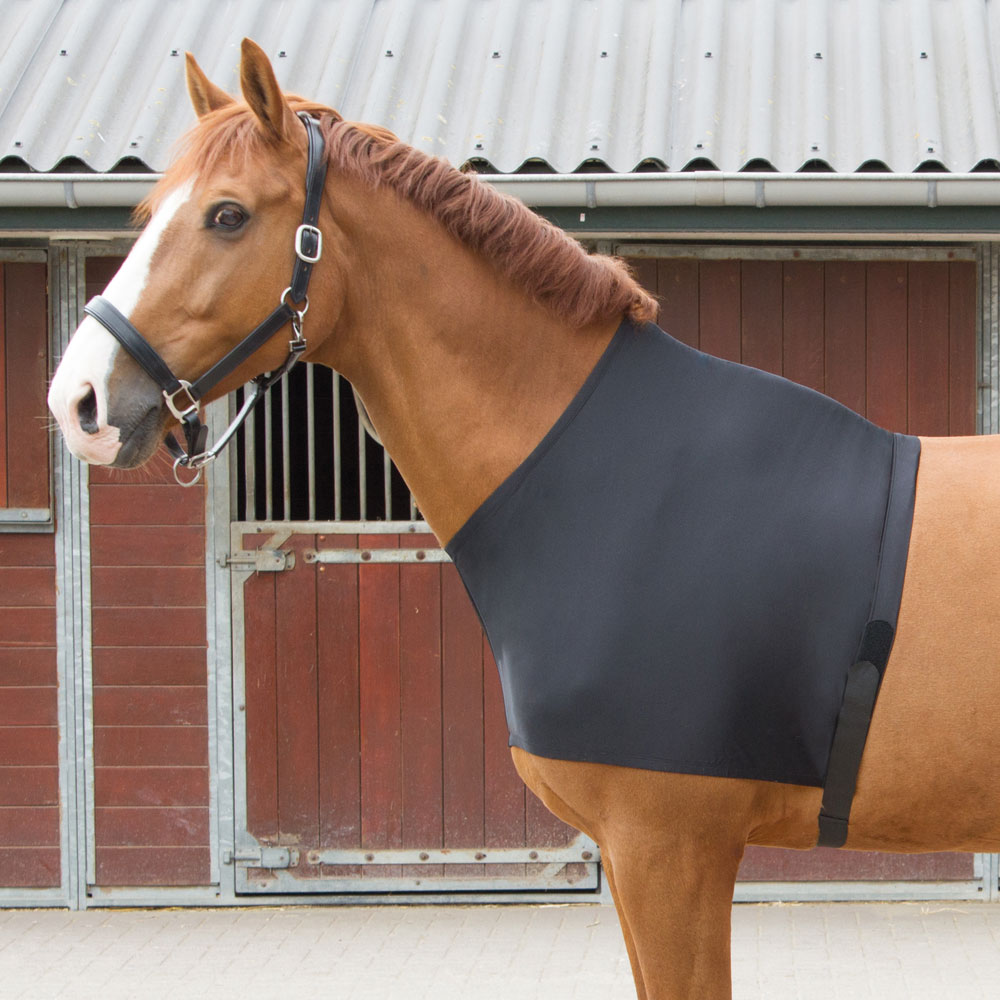 Harry's Horse Elastische Borstbeschermer Harry's Horse Elastische Borstbeschermer