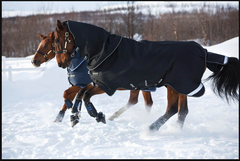 Horseware Products LTD Amigo Super Bravo Plus 250g Horseware Products LTD Amigo Super Bravo Plus 250g