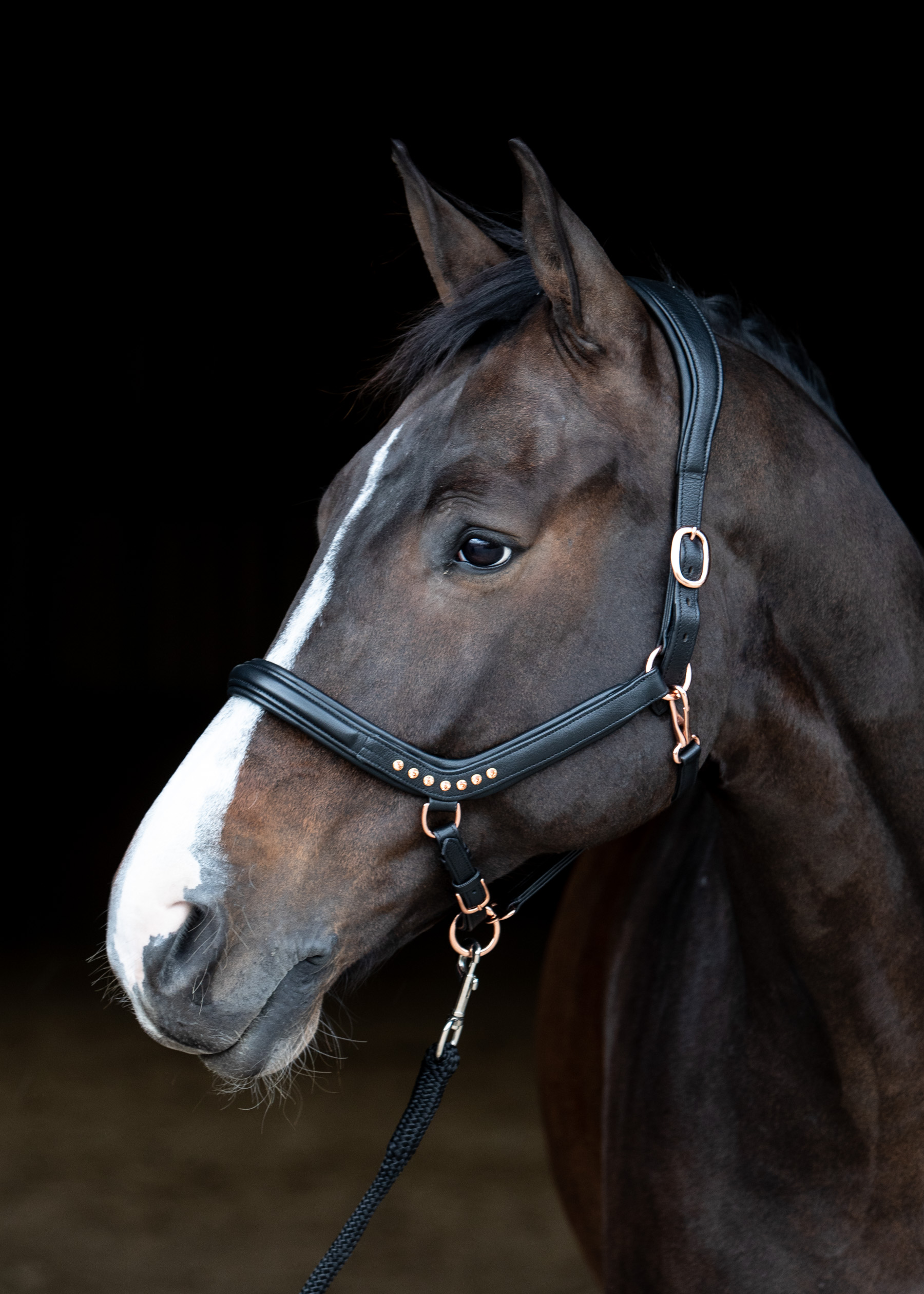 Harry's Horse Halster leder Rosegold anatomic Harry's Horse Halster leder Rosegold anatomic
