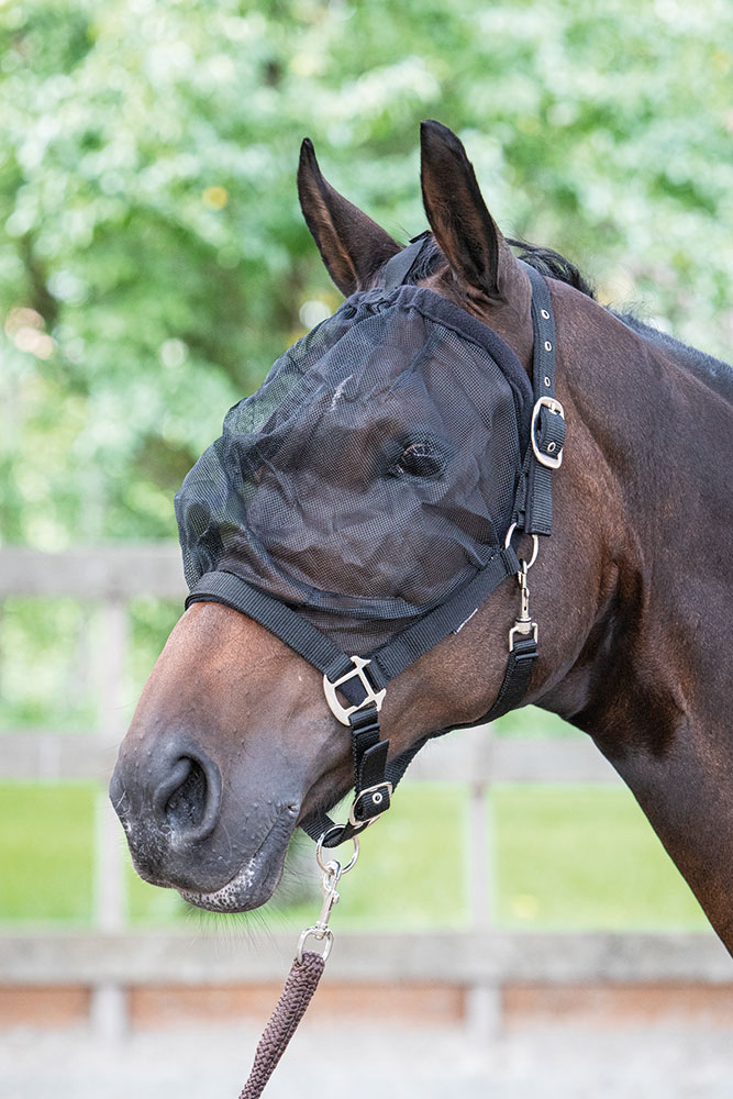 Harry's Horse Vliegenmasker halster Harry's Horse Vliegenmasker halster