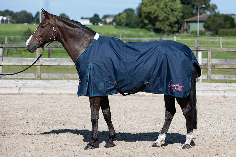 Harry's Horse Regendeken 0gr Thor Harry's Horse Regendeken 0gr Thor