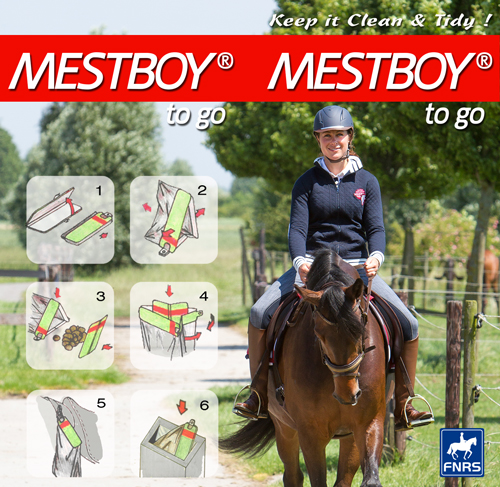 Harry's Horse Mestboy to Go Harry's Horse Mestboy to Go