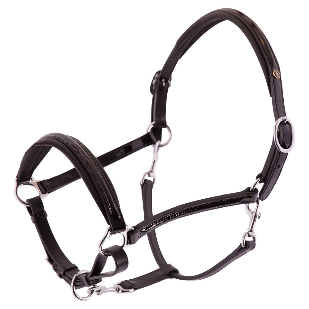BR Halster Edinburgh BR Halster Edinburgh