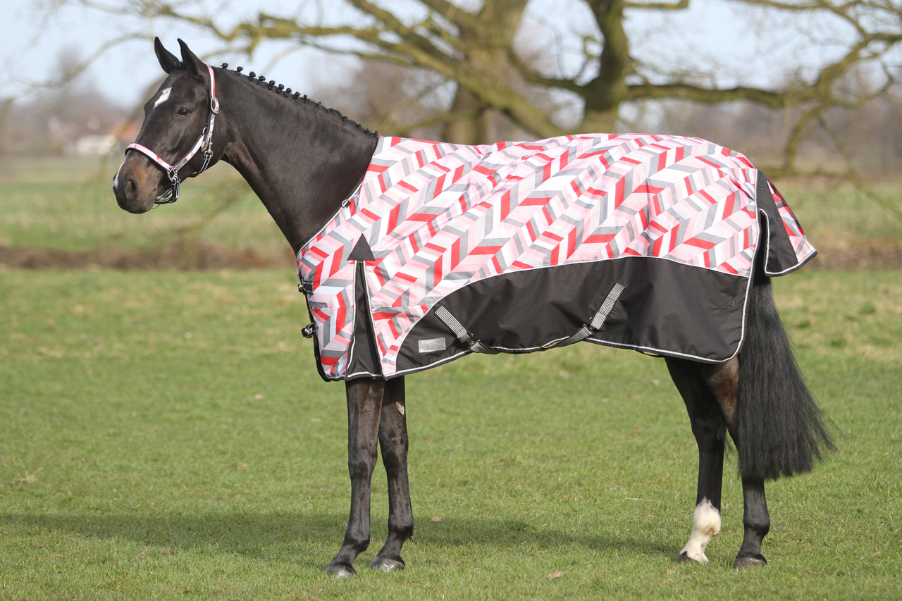 QHP Deken turnout luxe 300gr QHP Deken turnout luxe 300gr