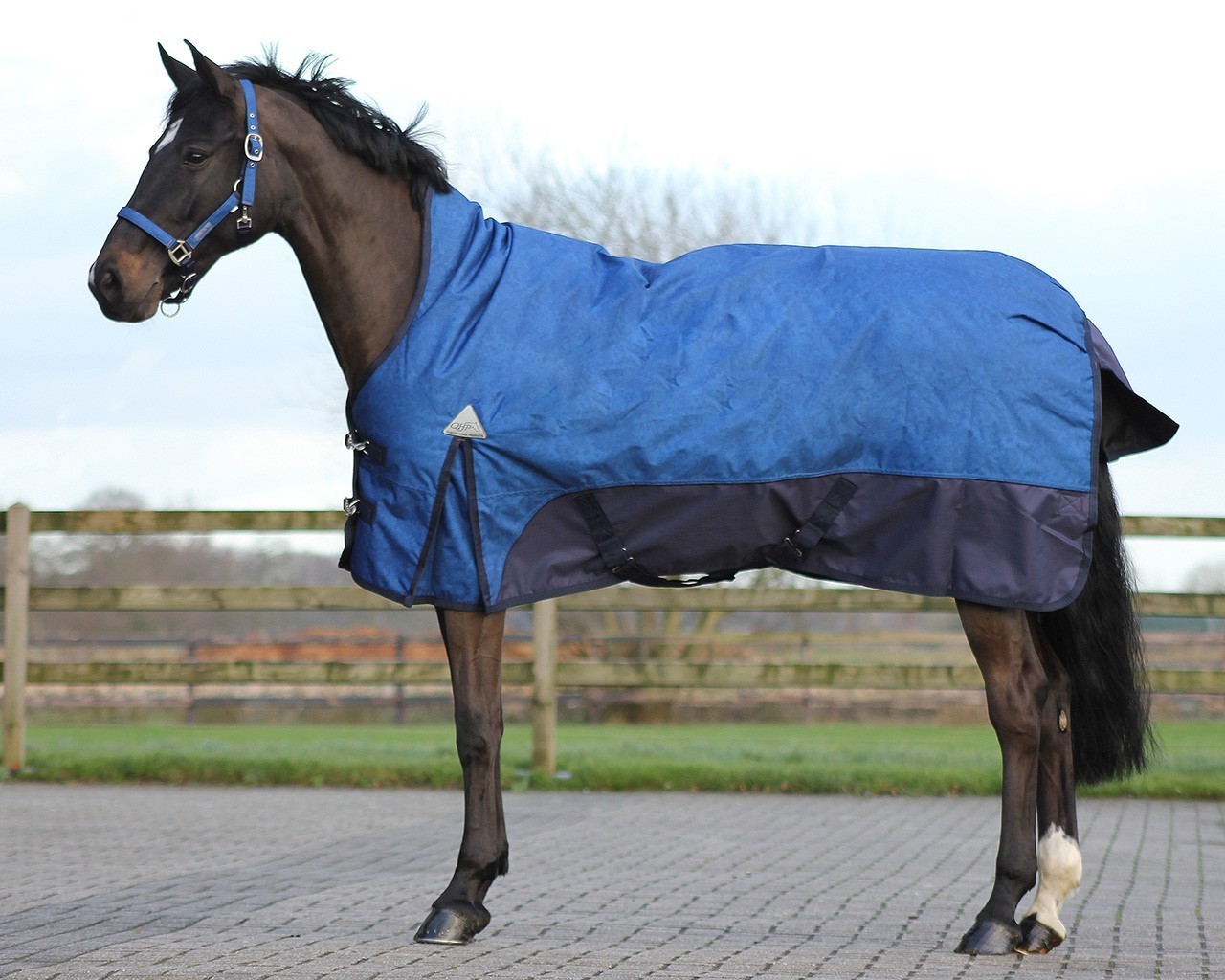 QHP Deken turnout luxe h.hals 300gr QHP Deken turnout luxe h.hals 300gr