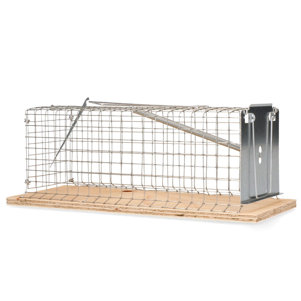 Swissinno Classic Rattenkooi Swissinno Classic Rattenkooi