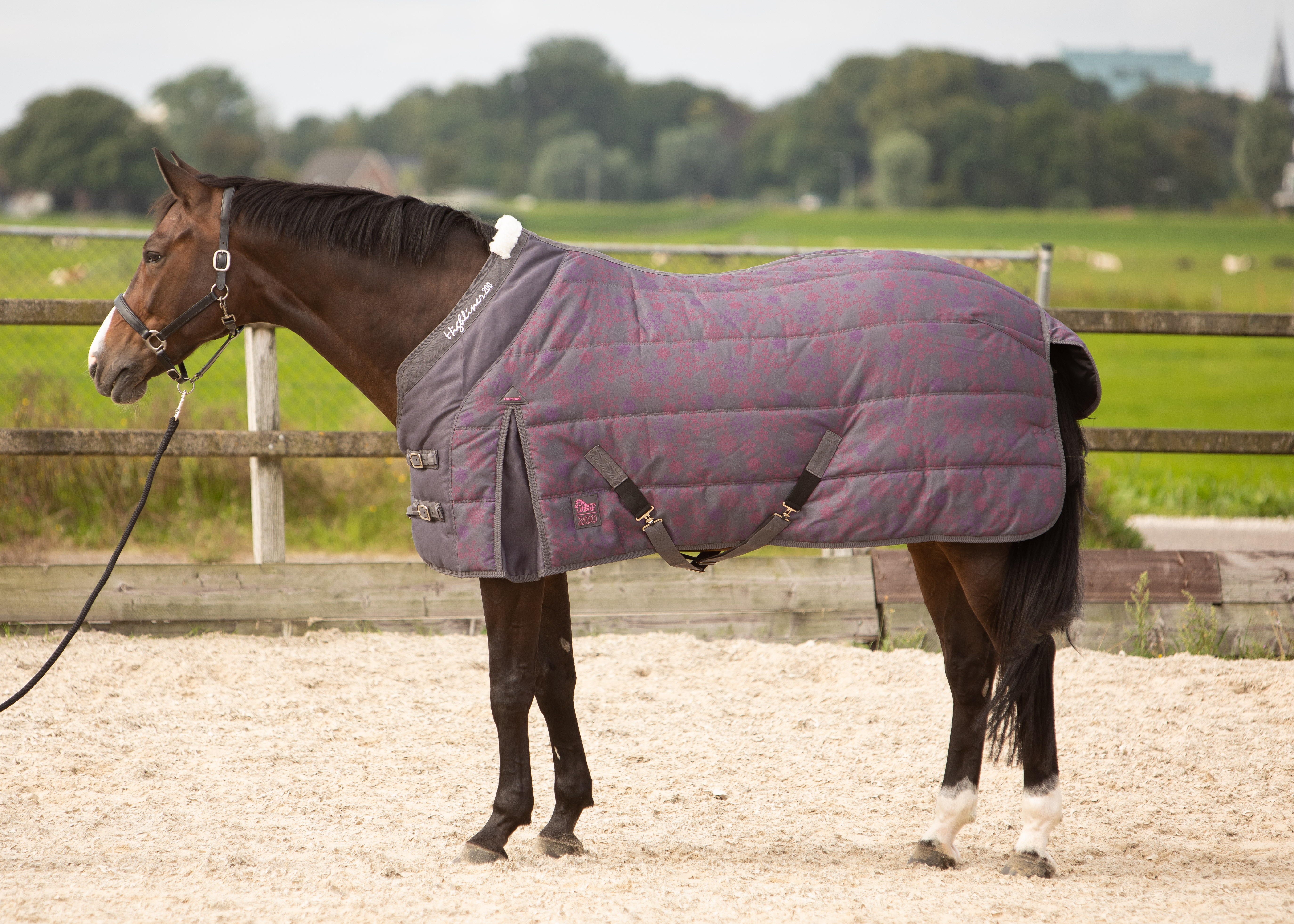 Harry's Horse Staldeken Highliner Snow 200gr