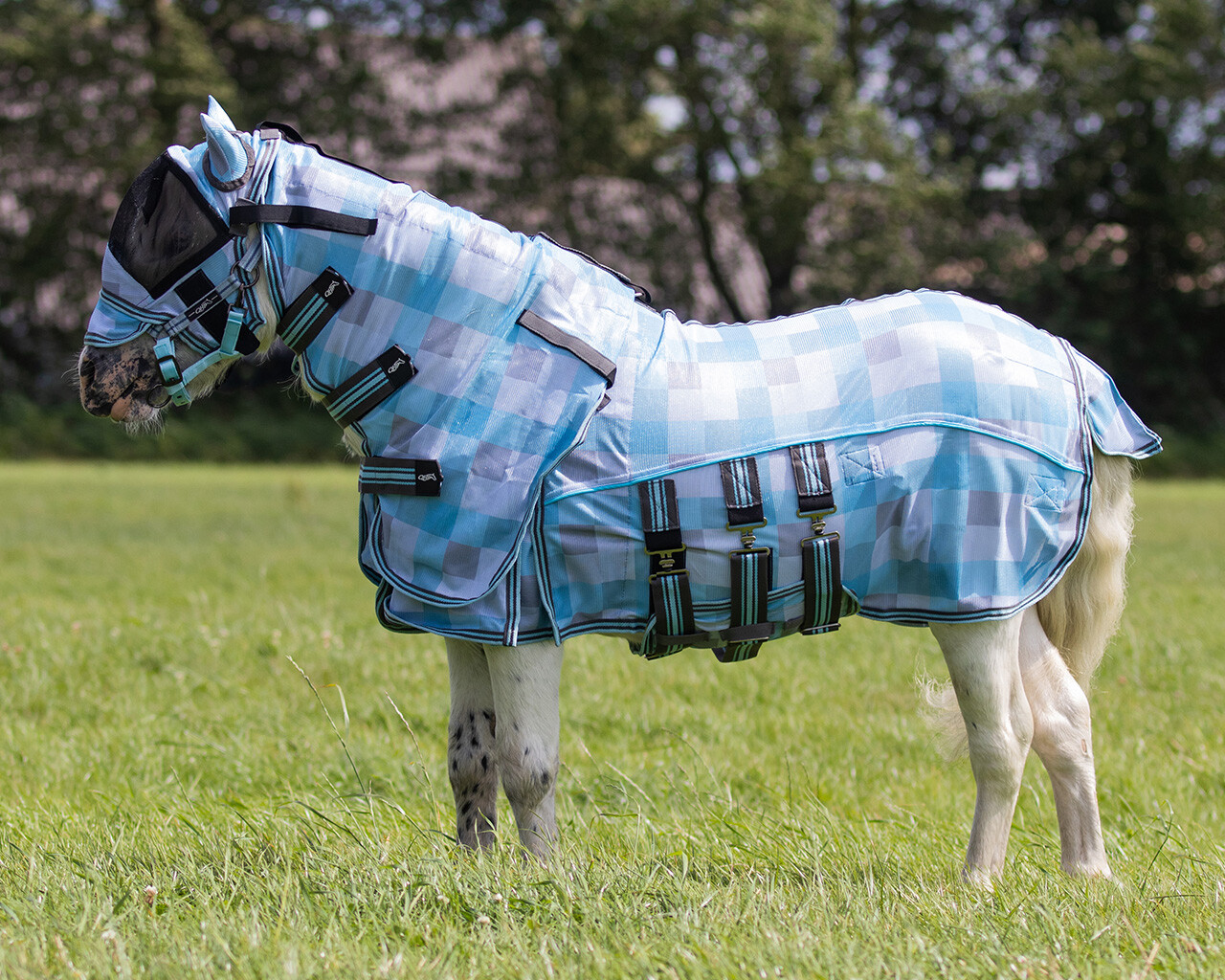 QHP Vliegendeken falabella collection QHP Vliegendeken falabella collection