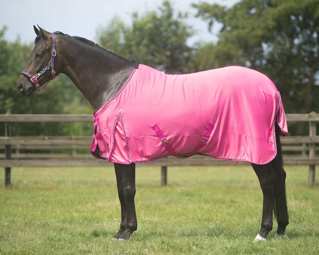 QHP Deken coolmesh collection QHP Deken coolmesh collection