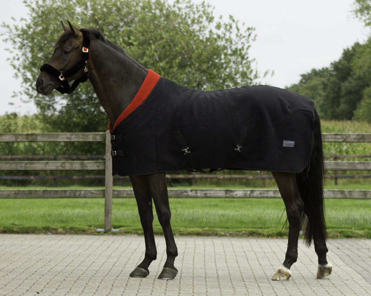 QHP Deken fleece Alaska Zwart/rood 185 QHP Deken fleece Alaska Zwart/rood 185