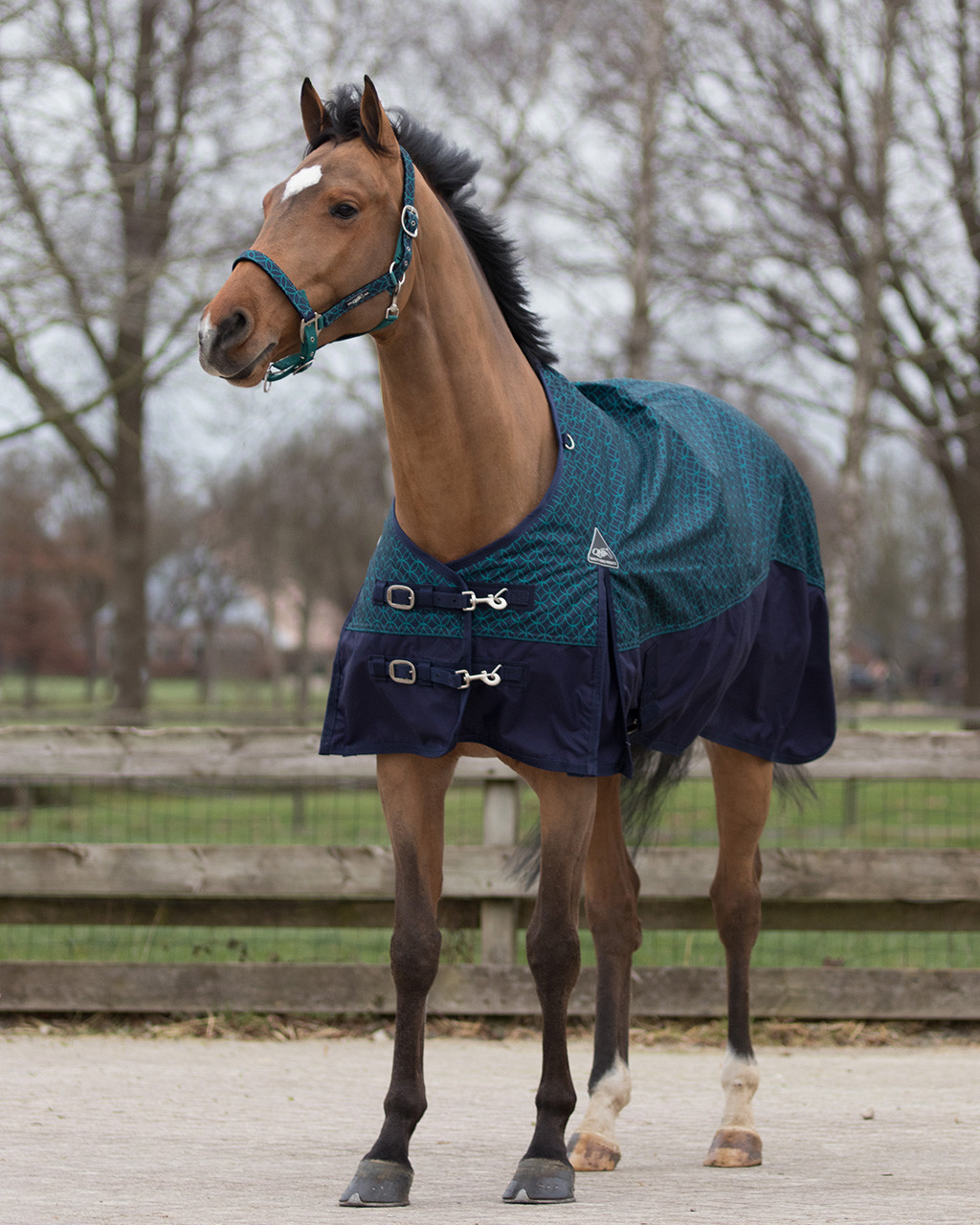 QHP Deken turnout Collection 300gr QHP Deken turnout Collection 300gr