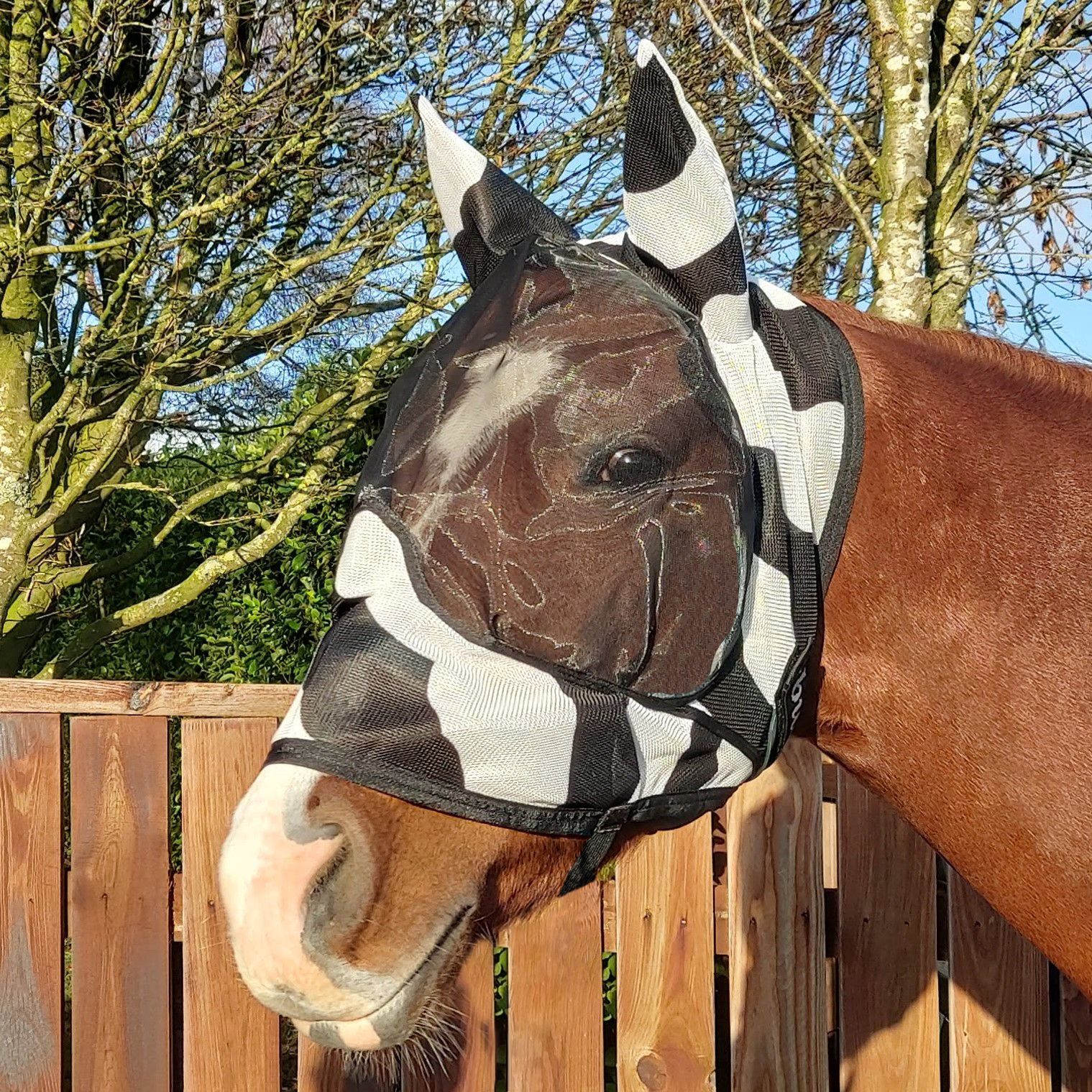 Bucas Buzz-Off Zebra Deluxe Masker met Oren Bucas Buzz-Off Zebra Deluxe Masker met Oren