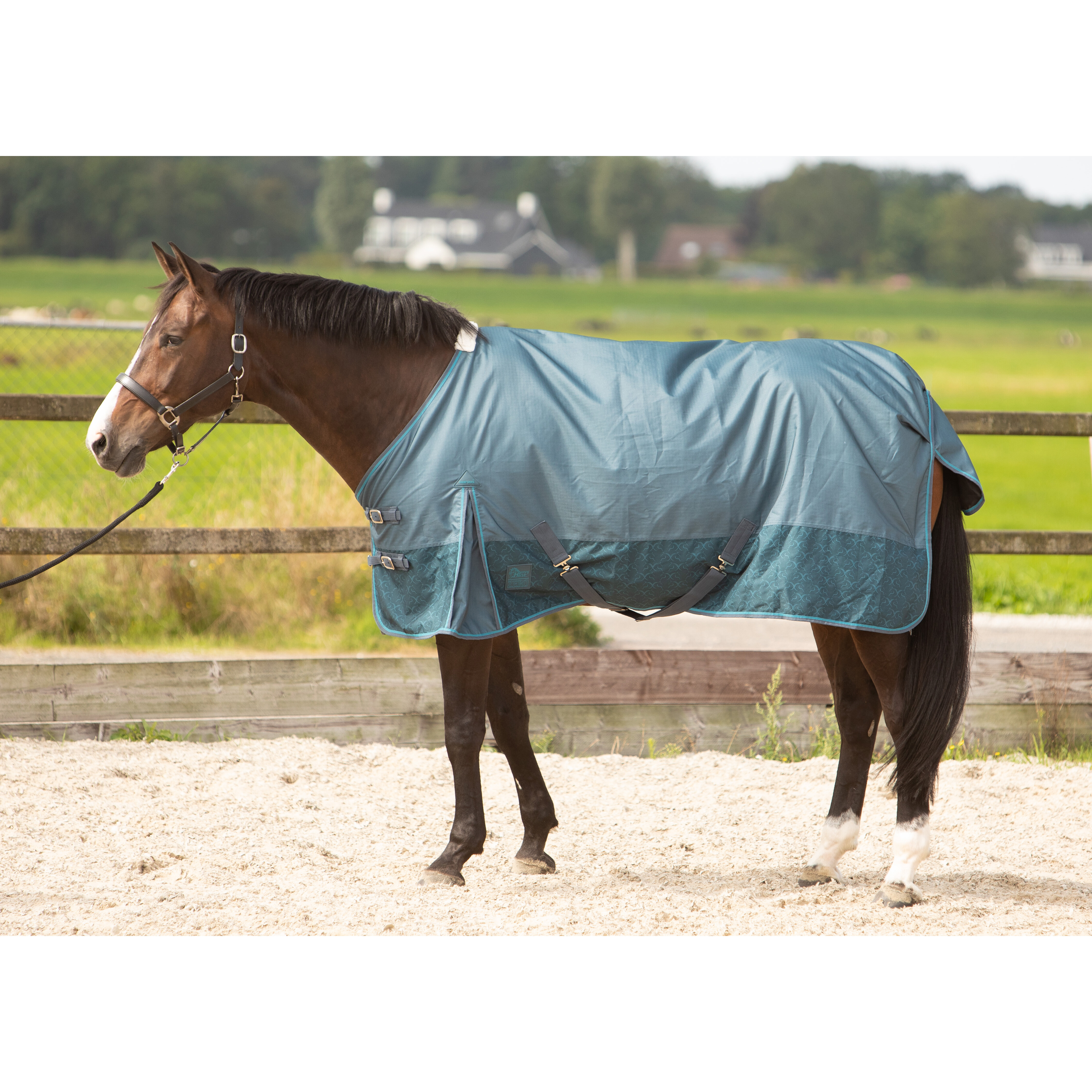 Harry's Horse Regendeken 0gr Thor Harry's Horse Regendeken 0gr Thor