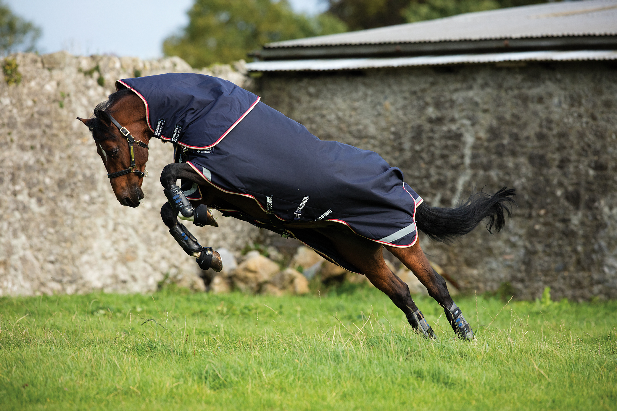 Horseware Rambo Duo Bundle Horseware Rambo Duo Bundle