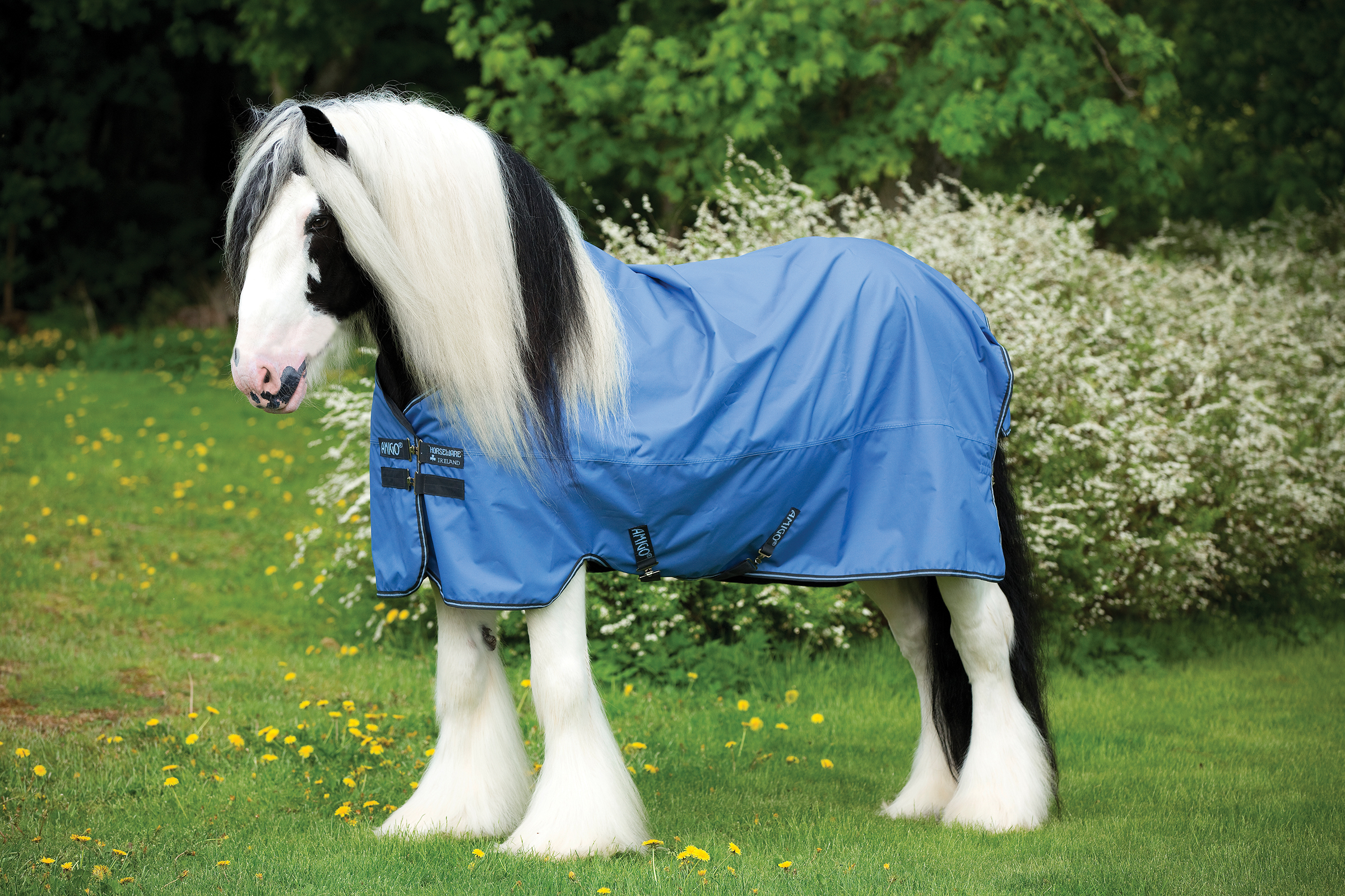 Horseware Amigo Hero ACY XL T/O Lite Horseware Amigo Hero ACY XL T/O Lite