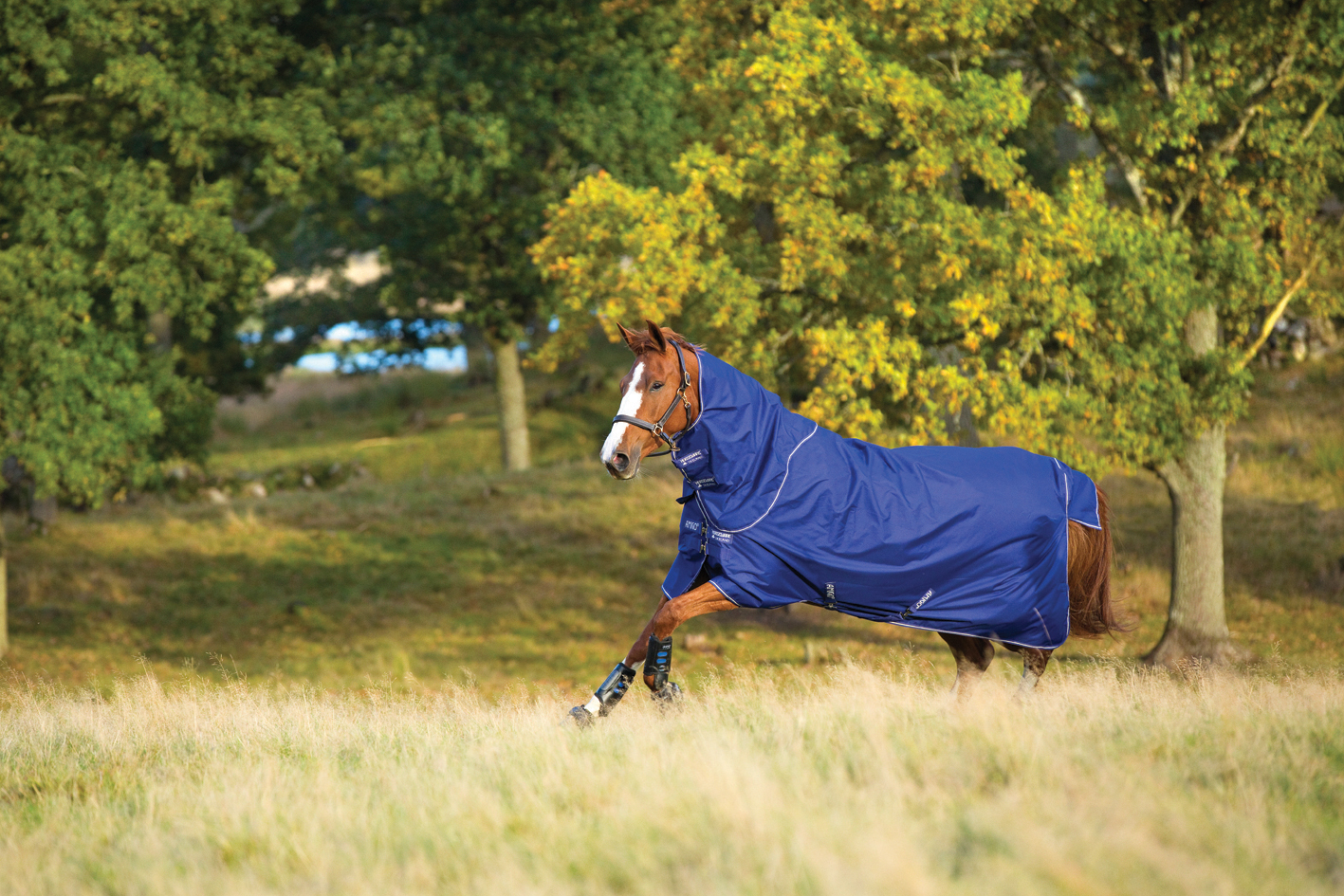 Horseware Amigo Hero ACY Turnout Med Horseware Amigo Hero ACY Turnout Med