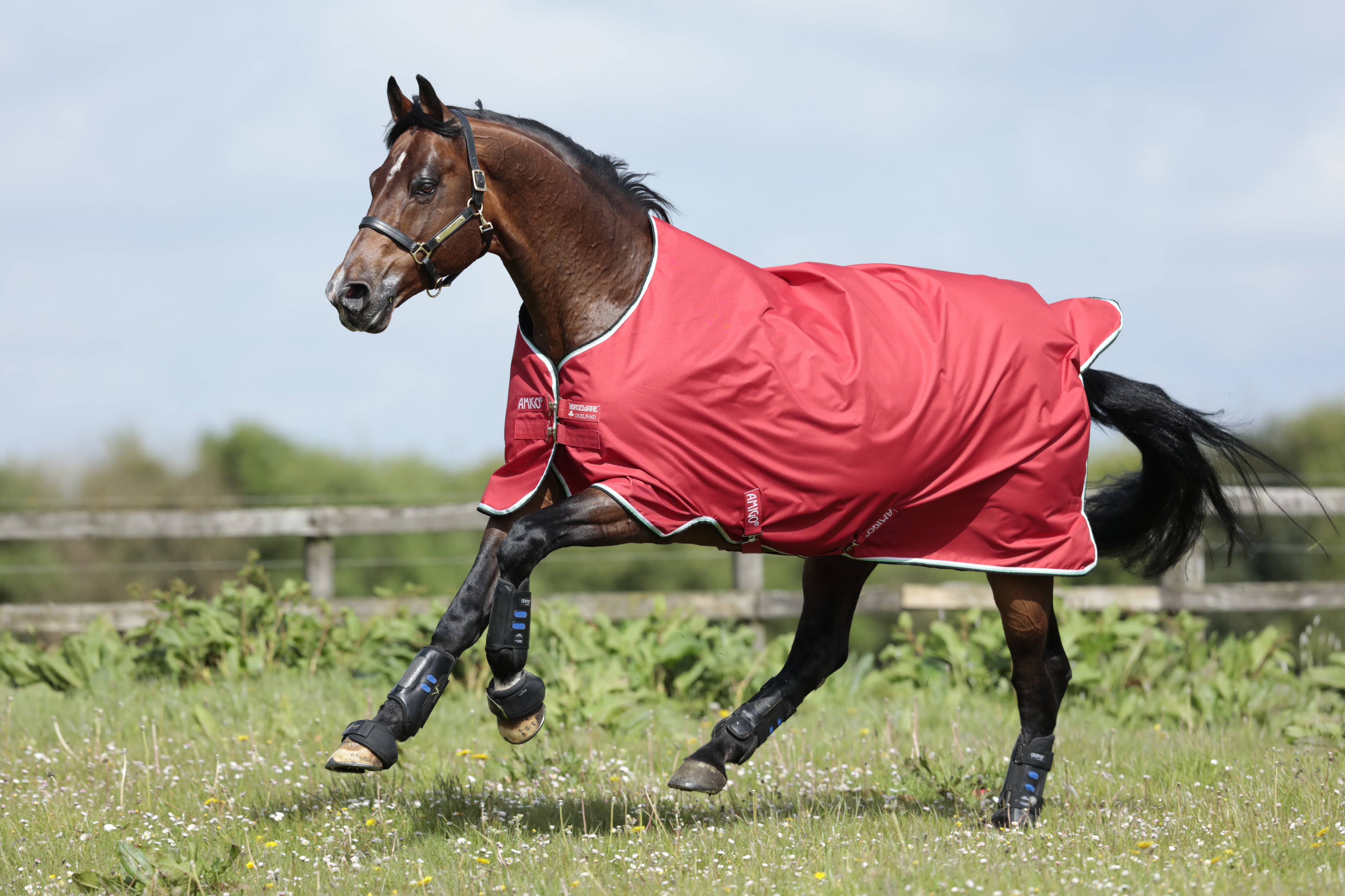 Horseware Amigo Hero ACY Lite Net Lined Horseware Amigo Hero ACY Lite Net Lined