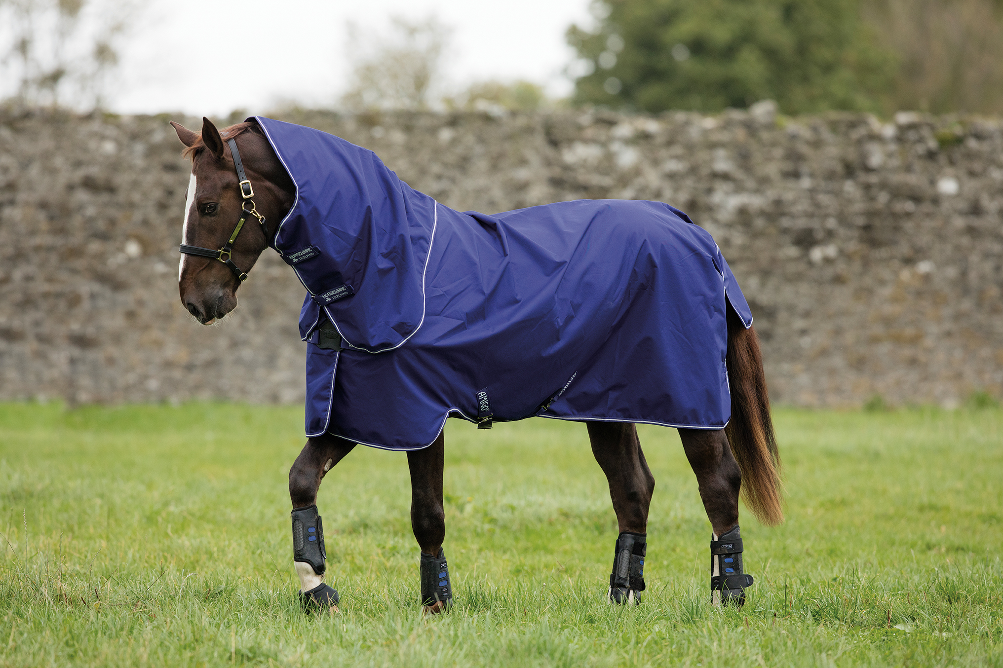 Horseware Amigo Hero ACY Plus Lite Disc Horseware Amigo Hero ACY Plus Lite Disc
