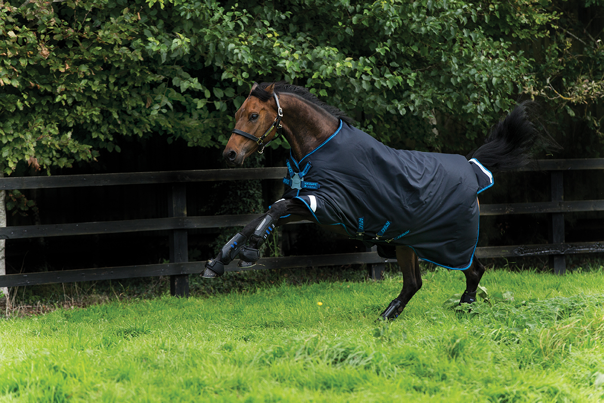 Horseware Amigo Bravo12 100grT/ODiscFrnt Horseware Amigo Bravo12 100grT/ODiscFrnt