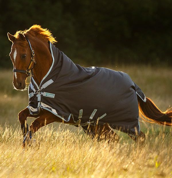 Horseware Amigo Bravo 12 Wug Heavy 400 g Horseware Amigo Bravo 12 Wug Heavy 400 g