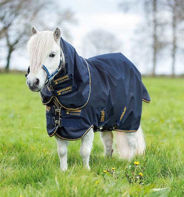 Horseware Amigo Hero 6 Petite Plus Lite 0g Horseware Amigo Hero 6 Petite Plus Lite 0g