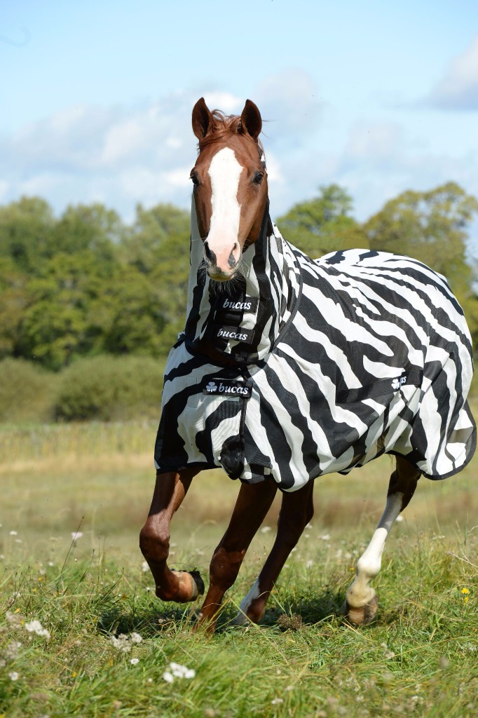 Bucas Buzz-off Zebra Full Neck Big Neck Bucas Buzz-off Zebra Full Neck Big Neck