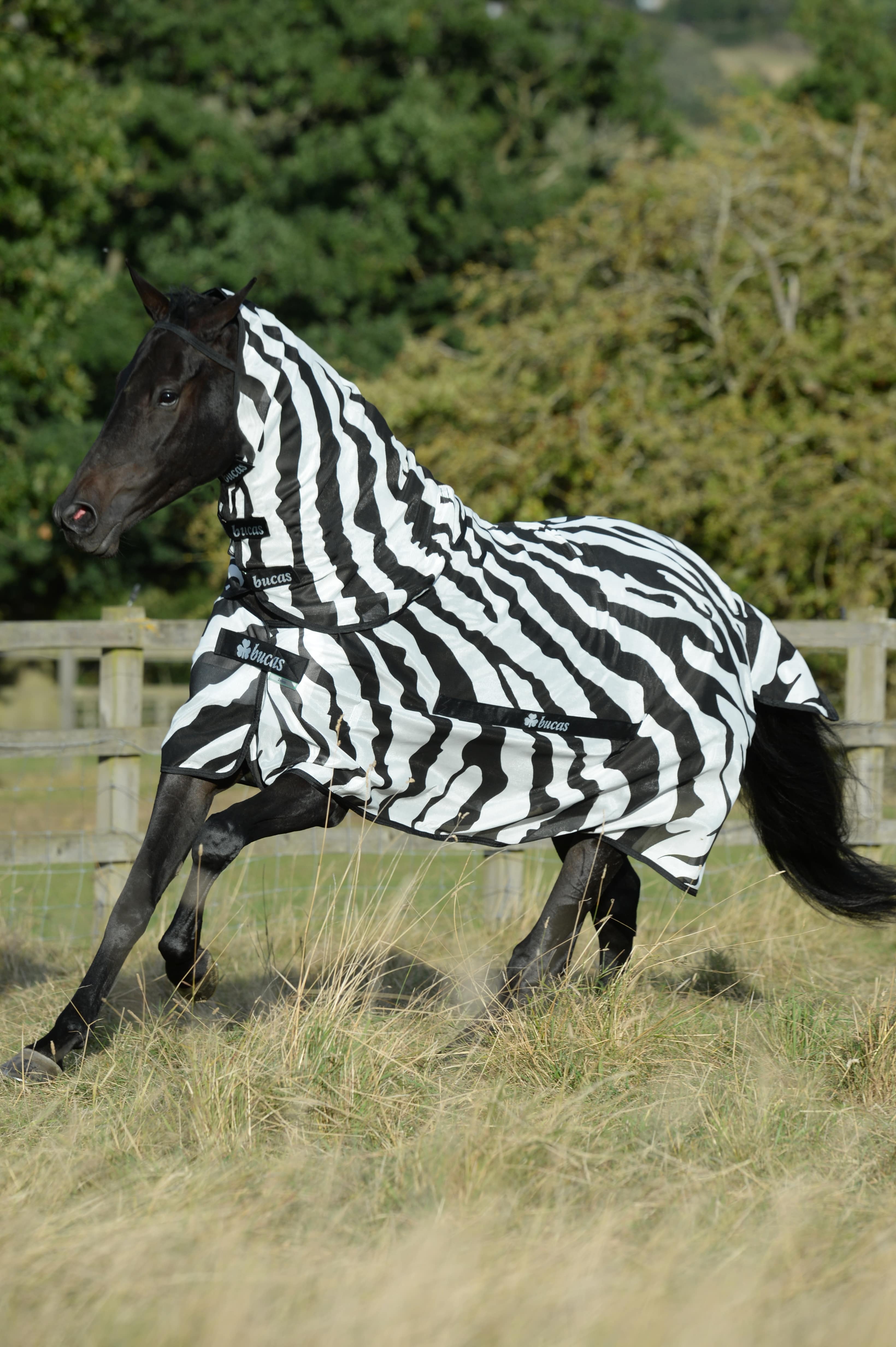 Bucas Buzz-Off Zebra & Neck Bucas Buzz-Off Zebra & Neck