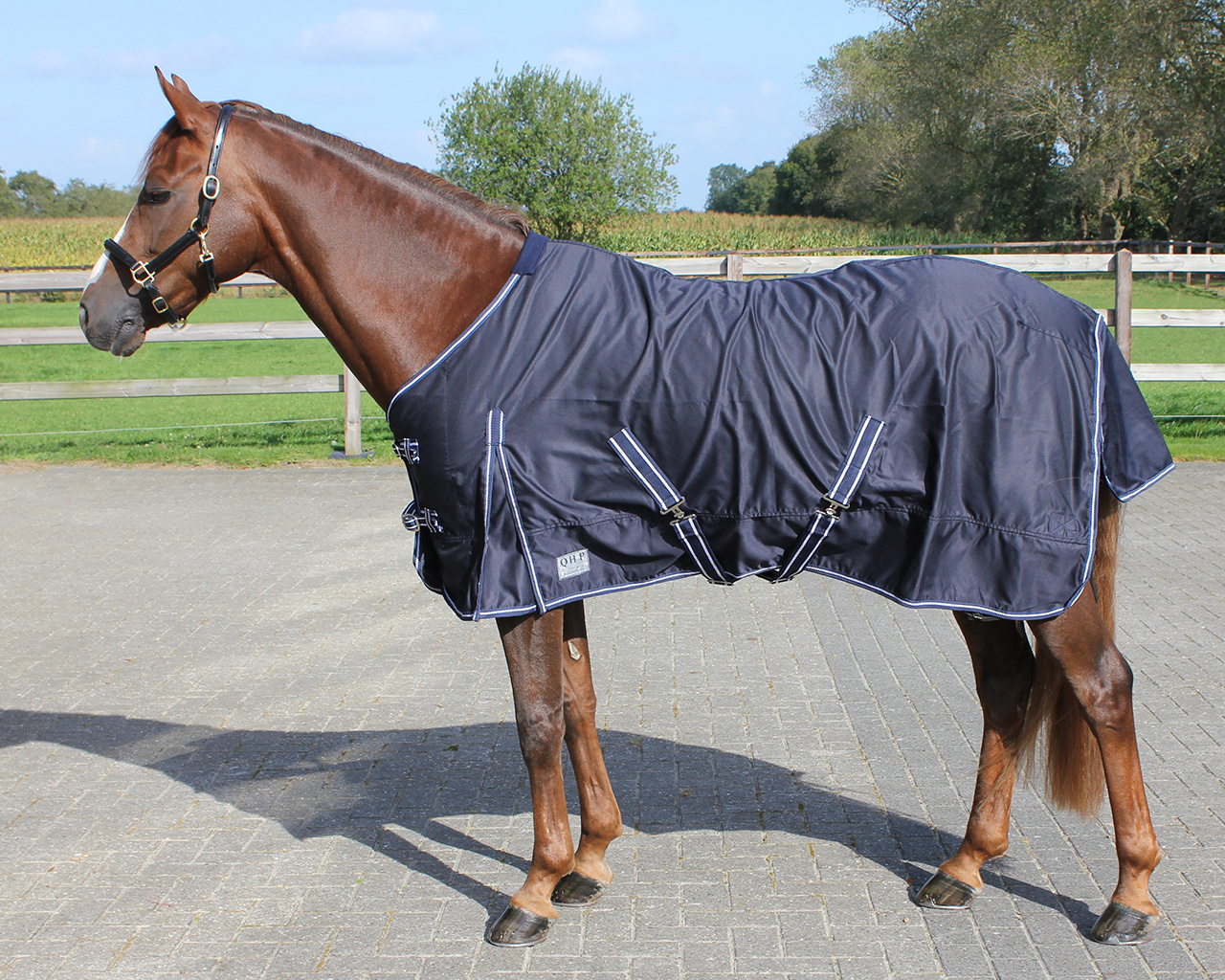 QHP Deken Zomer Basic QHP Deken Zomer Basic