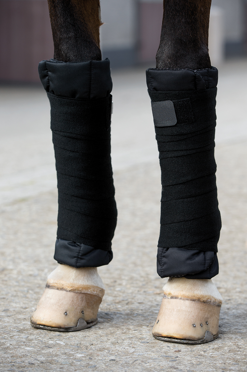HORSEWARE PRODUCTS LTD DBJC50 HORSEWARE PRODUCTS LTD DBJC50