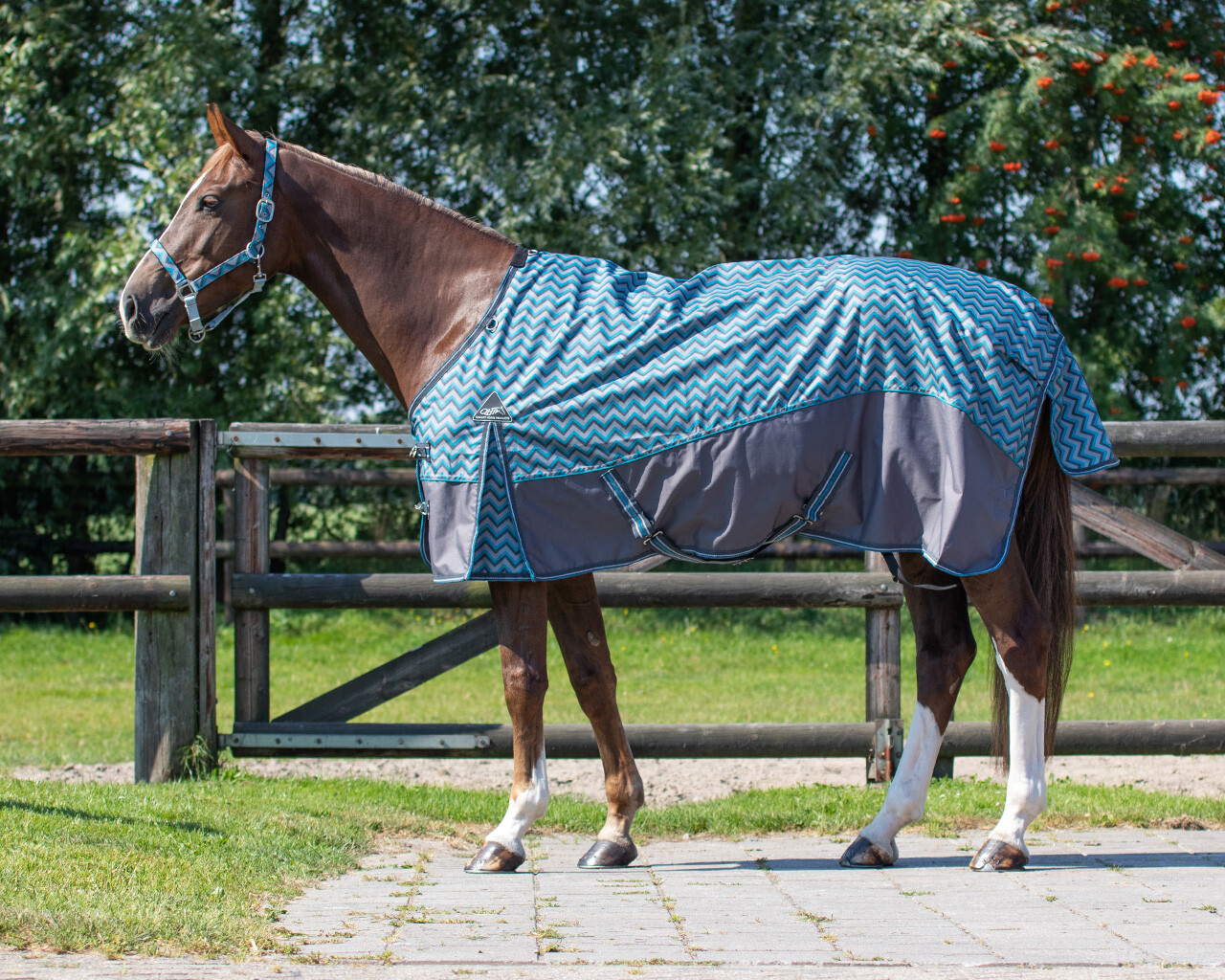 QHP Deken turnout falabella collection QHP Deken turnout falabella collection