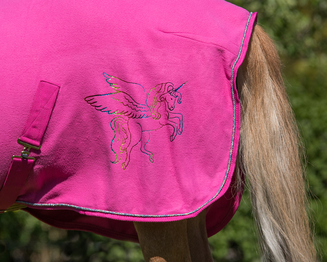 QHP Fleecedeken Pegasus QHP Fleecedeken Pegasus